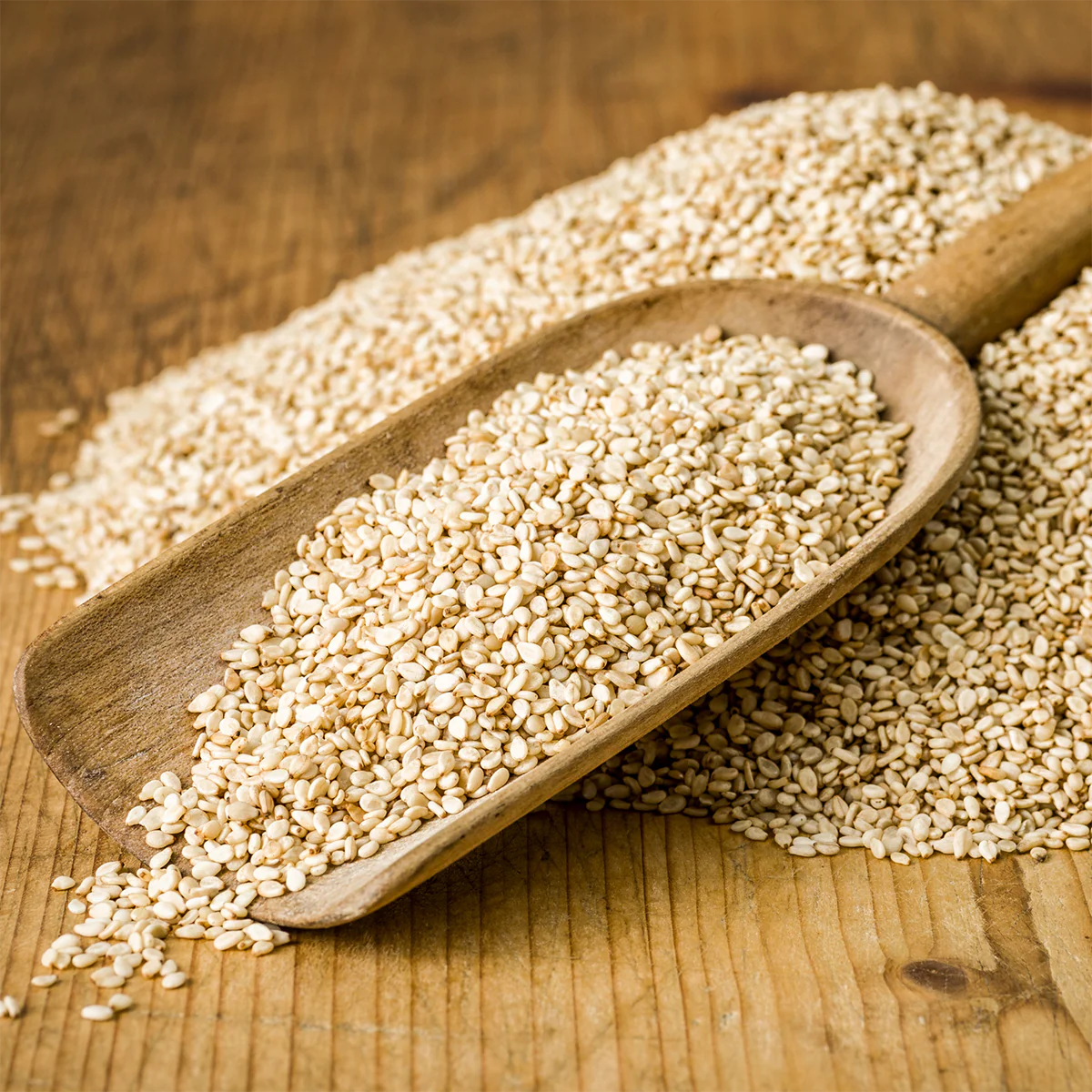 Best Sesame Seeds supplier in Maldives: A Complete Guide for Quality Sesame Seed Sourcing