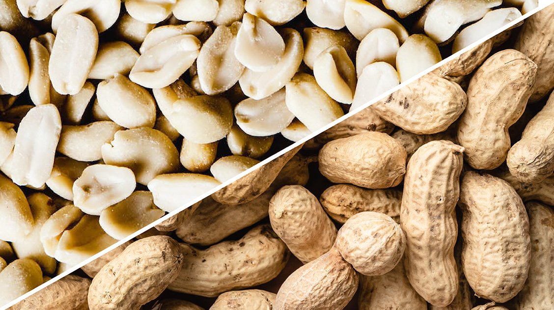 best-peanuts-exporters-in-nepal
