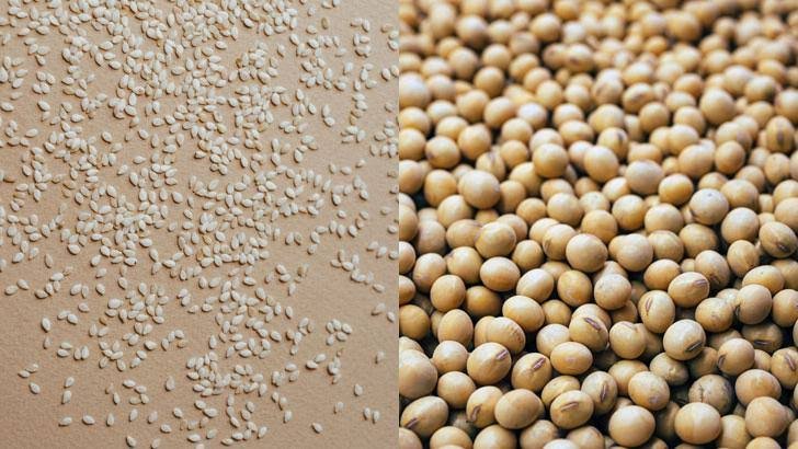 Soybean Sesame Seeds